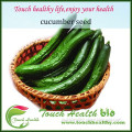 Touchhealthy supply hybrid cucumber seed Crisp and good taste.